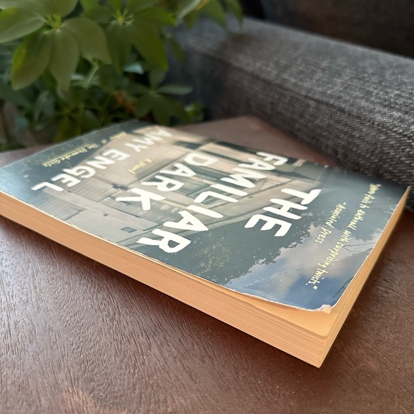 The Familiar Dark novel by Amy Engel author of The Roanoke Girls paperback book - Picture 4 of 4